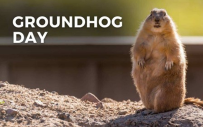 Groundhog Day: Stuck in a Rut? 