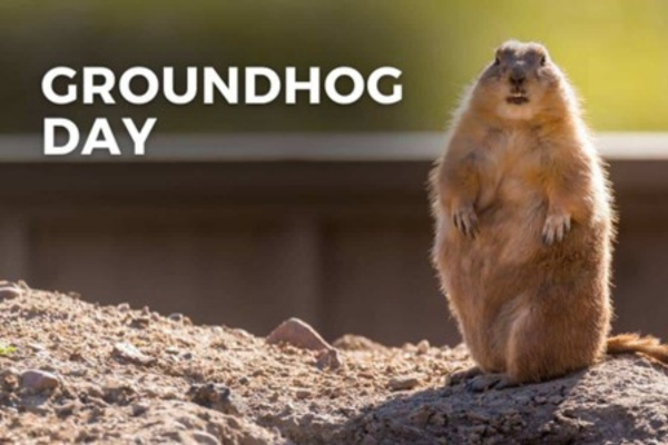 Groundhog Day: Stuck in a Rut? 